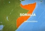 Heavy gunfire and casualties: Armed terrorists storm luxury hotel in Mogadishu