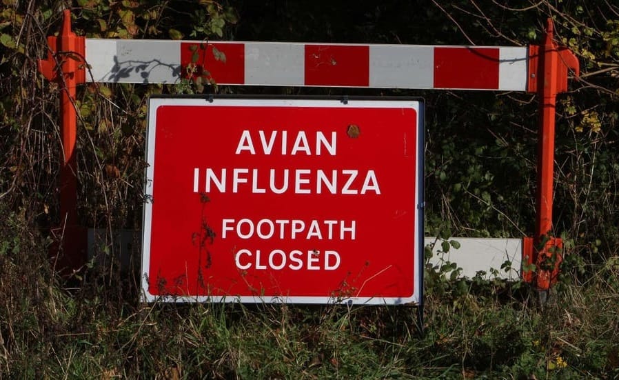 Premye ka grip zwazo ki ka touye moun konfime nan UK a