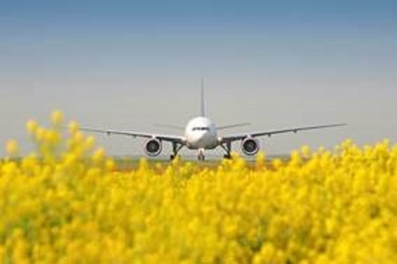 , Summer Schedule 2019: Frankfurt Airport puts spring in its step, eTurboNews | eTN