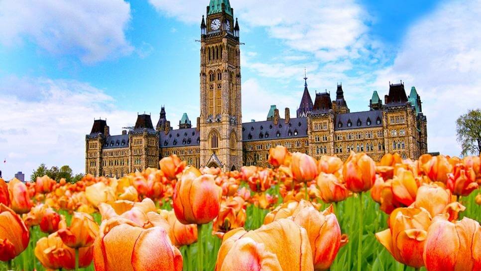 2019 Canadian Tulip Festival draws largest crowd in a decade | Destination