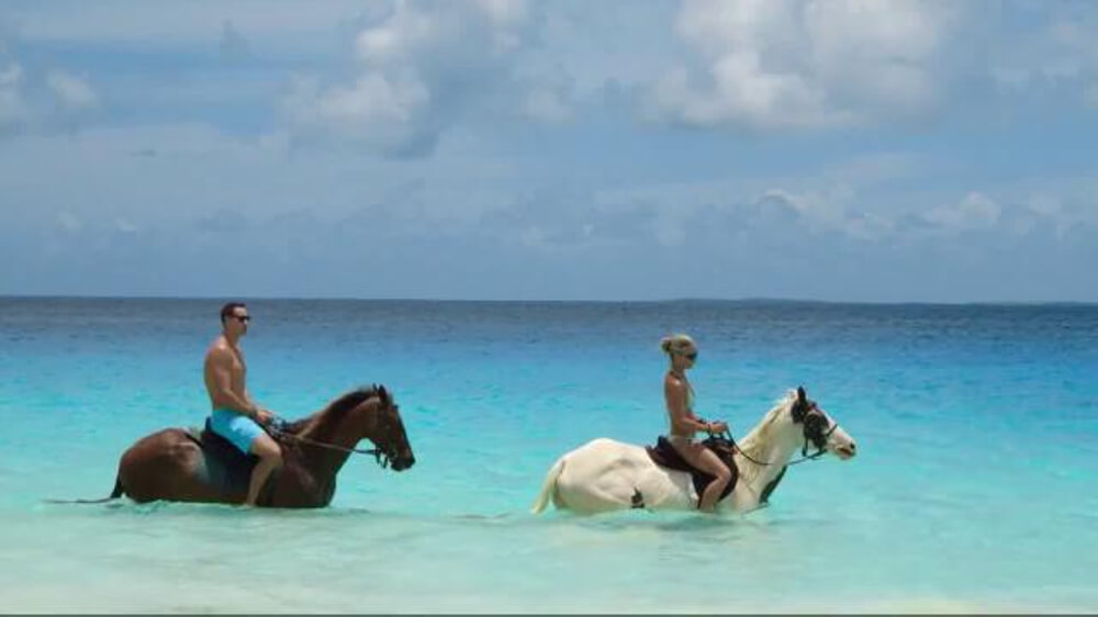 aloha anguilla