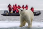 Russian tourism chief: Growing fashion for exotic Arctic tourism