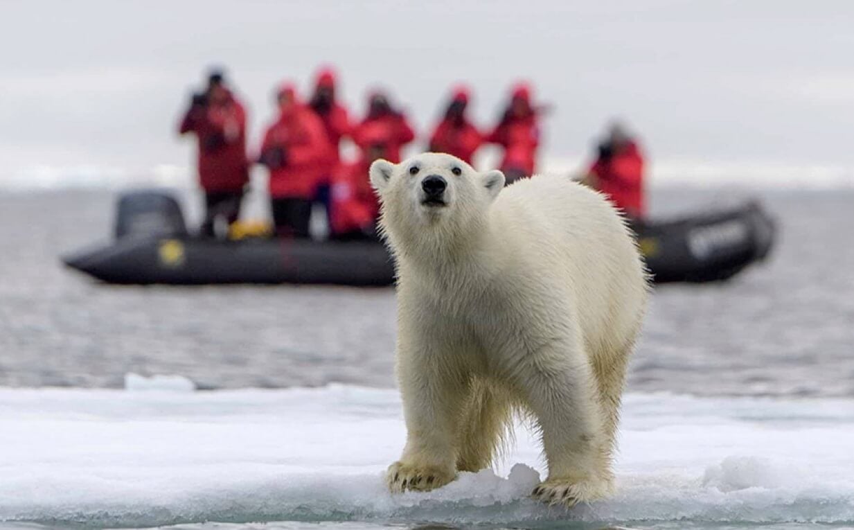 arctique tourisme