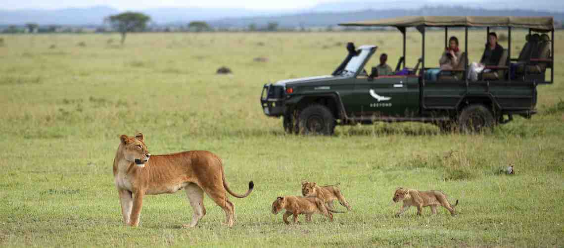 Αποτέλεσμα εικόνας για National Parks mark sixty years of conservation success in Tanzania