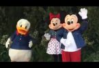 Disney World characters report groping and injury