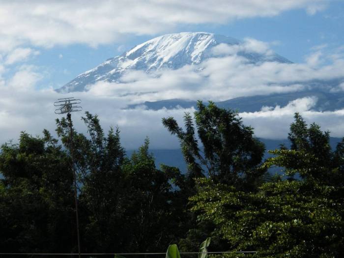 Provodeći praznike na planini Kilimanjaro