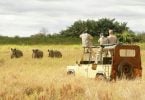 Didžiausias nacionalinis parkas Rytų Afrikoje, įsikūręs Tanzanijoje