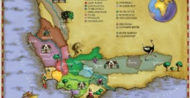 South African Wine Adventures