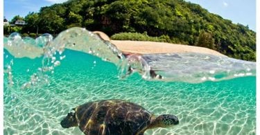Obnovení turistiky na Havaj může začít Austrálií a Novým Zélandem