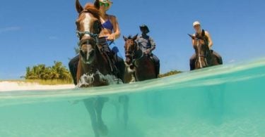 Official Statement from Turks and Caicos Tourism Minister