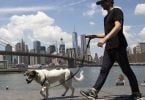 New York City in top ten world’s best walking cities