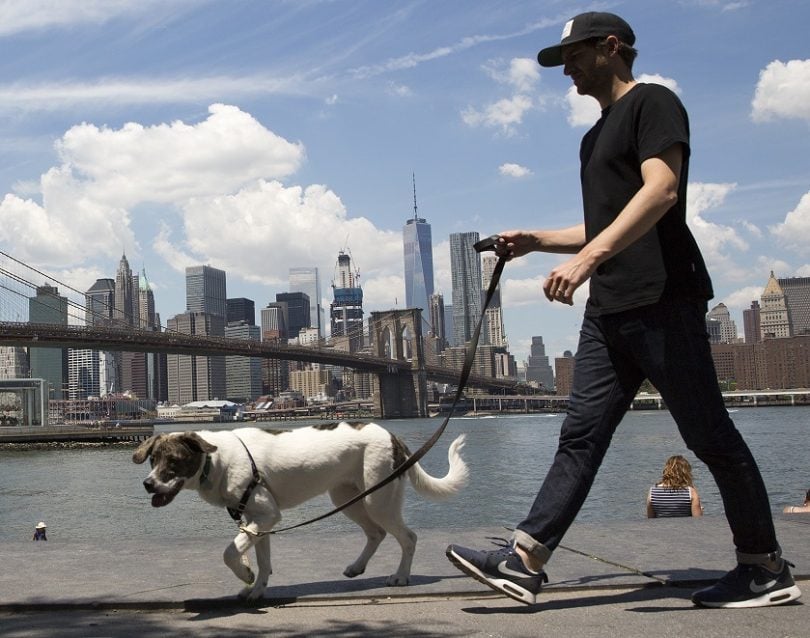 העיר ניו יורק בעשרת הגדולות ביותר בערי ההליכה הטובות בעולם