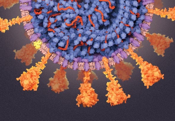 , וירוס COVID-P1 מסוכן חדש בברזיל, פנמה, קייפ ורדה, פורטוגל, יפן, eTurboNews | eTN