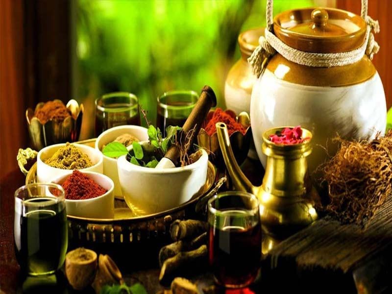 ayurveda tourism