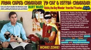 caped crusader kanggo kucing crusader | eTurboNews | eTN