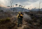 lutando contra incêndios florestais