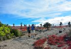 Travel is back in the Galapagos Islands