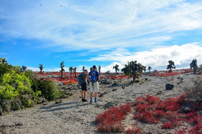 Die Reise ist zurück auf den Galapagos-Inseln