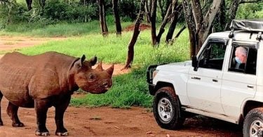 US Ambassador has close encounter with rhino at Mkomazi National Park 22 Travel & Tourism News – Global, Trusted, Independent US Ambassador at Mkomazi National Park
