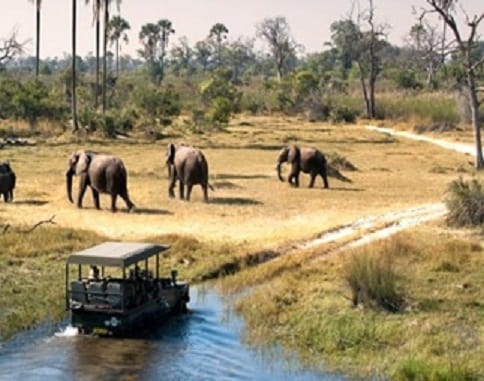 Uganda Tourismusagenturen fusionéieren