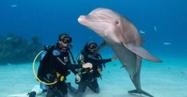 Grand Bahama Islands ready for travel restart with airport expansion and upgrades