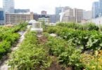 2021 Best US Cities for Urban Gardening Named