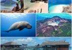 Seychellernes tidligere turistminister indstillet til at omplacere Indonesiens turisme