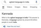 Google: Üzgünüz, Kannada dili 'Hindistan'ın en çirkini' değil