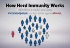 Tourism and Vaccination: From Herd Immunity to nothing -the list: