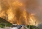 Hundreds evacuated from Sardinia wildfires as Rome asks for EU help