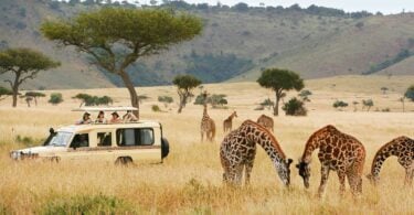 Tansania isännöi suurta Itä -Afrikan alueellista matkailunäyttelyä lokakuussa