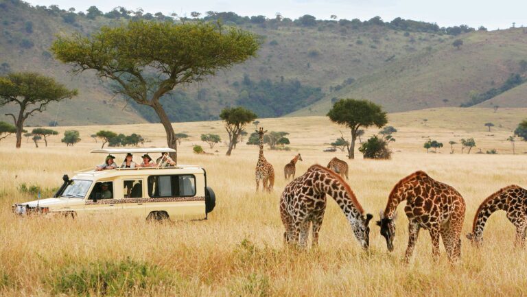 В октябре в Танзании пройдет крупная региональная туристическая выставка Восточной Африки