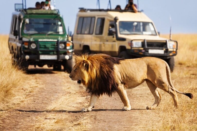 Kenya waxay bartilmaameedsaneysaa Dalxiiska Afrika si loo yareeyo Saameynta COVID-19