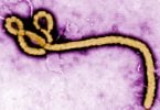 Dramblio Kaulo Krantas patvirtina pirmąjį Ebolos atvejį per 25 metus