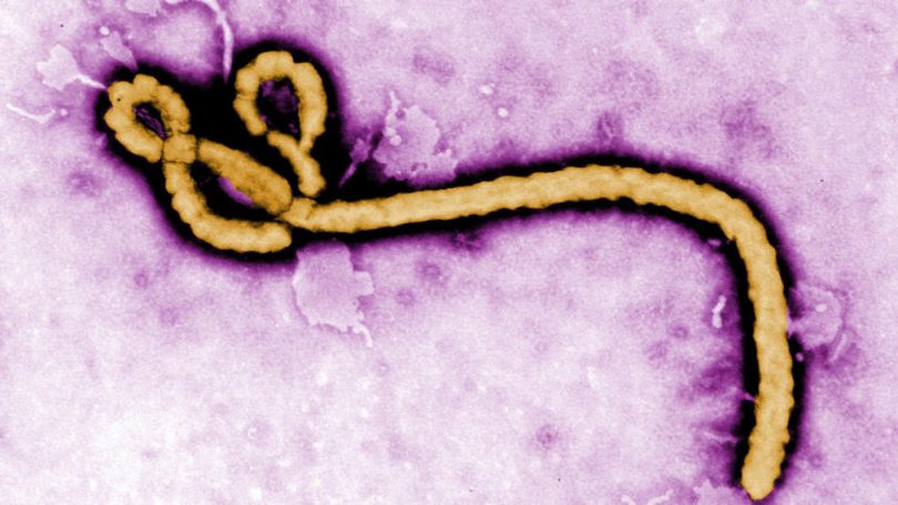 Elfenbenskysten bekrefter første ebolasak på 25 år