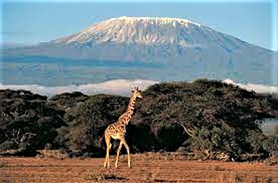 , Hope Flying in from Edelweiss for Tanzania Tourism High Season, eTurboNews | eTN