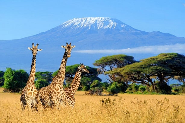 Tanzanijos turai | eTurboNews | eTN