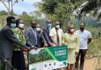 UgandaForest1 | eTurboNews | eTN