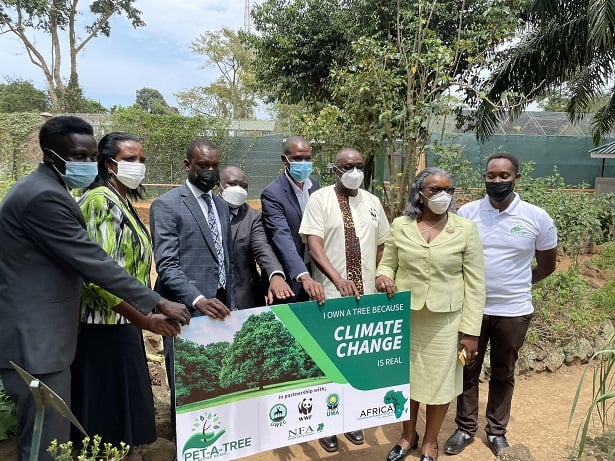 , How “Pet a Tree” Climate Change Initiative Will Help Uganda Tourism, eTurboNews | eTN