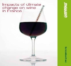 , 18 יתרונות בריאותיים חדשים ומדהימים כאשר נהנים מיין צרפתי, eTurboNews | eTN