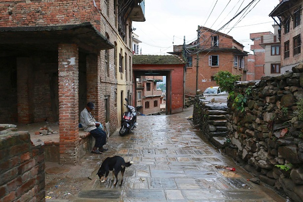 nepal4 STREET DOG | eTurboNews | eTN