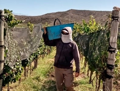 Wein.Argentinien.3 | eTurboNews | eTN