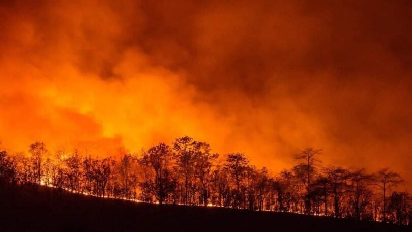 Turis Rusia ditangkap di Turki karena memicu kebakaran hutan.