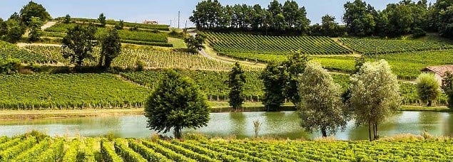 , Avoid Wine Worries. Be Happy and Drink Bordeaux Les Legendes, eTurboNews | | eTN