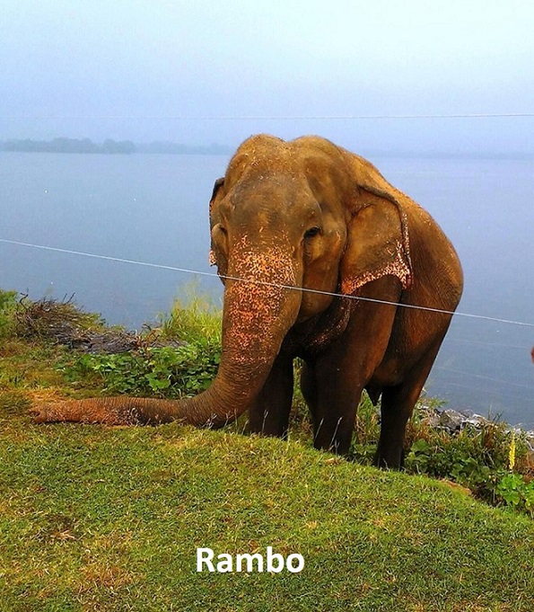 RAMBO | eTurboNews | អ៊ីធីអិន