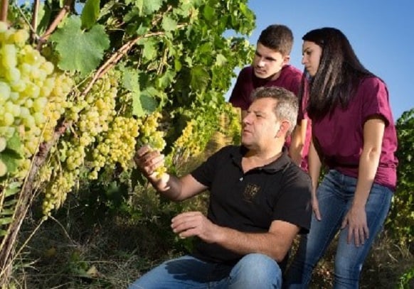, Itálie bohatá na víno Nic nového: Hrozny jsou původní, eTurboNews | eTN