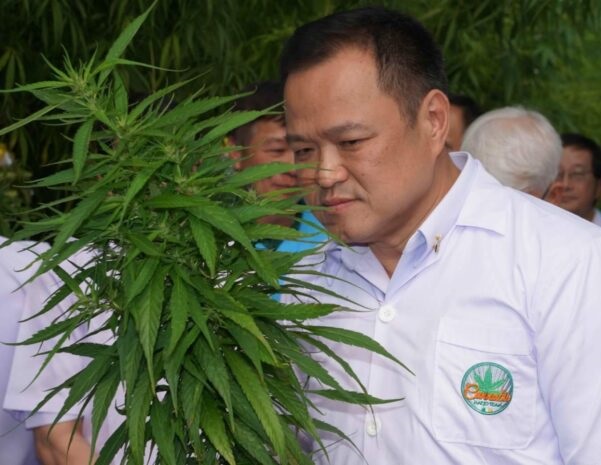 Tailandia despenaliza la marihuana para uso recreativo