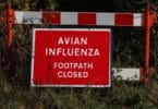 U primu casu di gripe aviaria mortale cunfirmatu in u Regnu Unitu