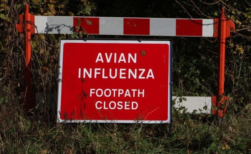 First case of deadly bird flu confirmed in the UK