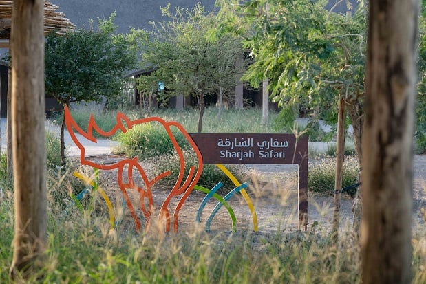 Safari satwa panggedéna di luar Afrika dibuka di Sharjah UAE